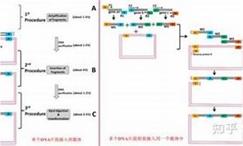 克隆vs柏林联合-克隆对战