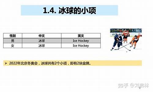 冰球决赛加时规则-冰球加时赛算大小分吗