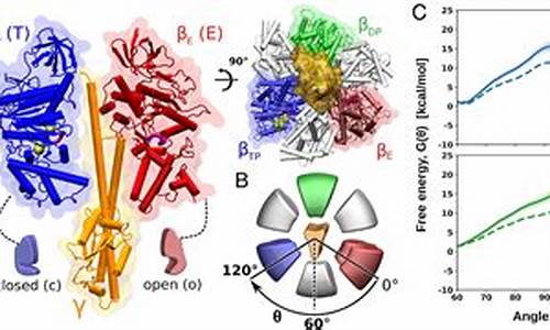 atp总决赛积分排名-atp总决赛替补戈芬